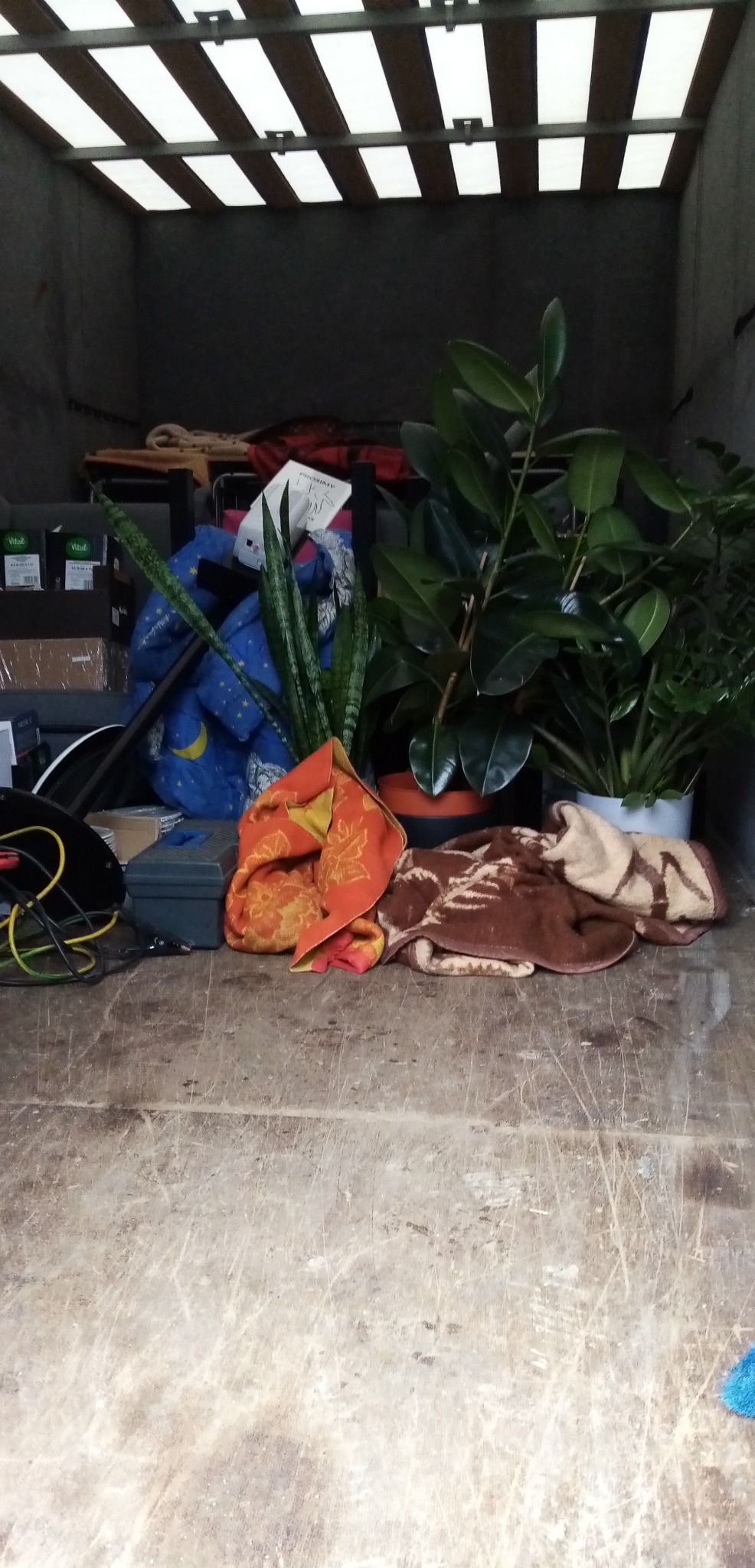 Wnętrze skrzyni ładunkowej samochodu dostawczego wypełnione roślinami doniczkowymi, zapakowanymi w koce i ręczniki, oraz kartonami i innymi przedmiotami zabezpieczonymi do transportu.