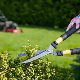 Dezynsekcja i deratyzacja Bobowo 1