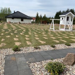 Dezynsekcja i deratyzacja Bobowo 2