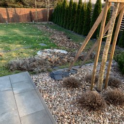 Dezynsekcja i deratyzacja Bobowo 4