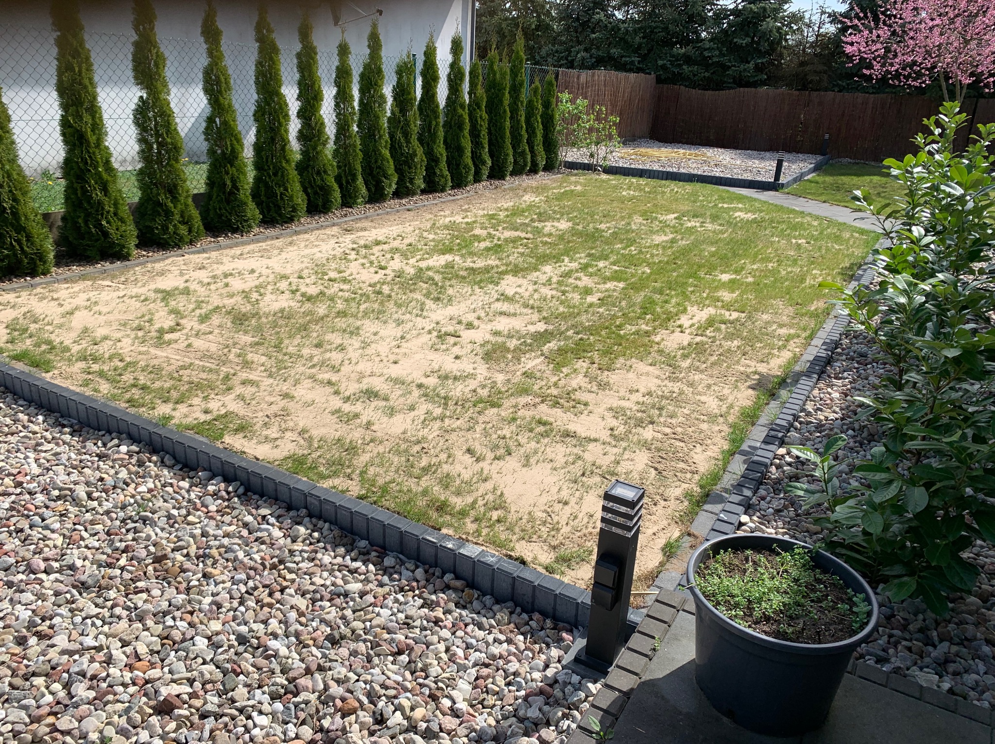 Nowy trawnik w trakcie zakładania: widoczna piaskowa powierzchnia z młodą trawą, obrzeża z kostki, rząd tuj i ozdobne kamienie. Oświetlenie ogrodowe.