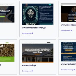 Zbrojastudio - Strony internetowe Kraków - Zestawienie sześciu miniatur stron internetowych różnych firm, prezentujących ich wygląd i adresy URL.