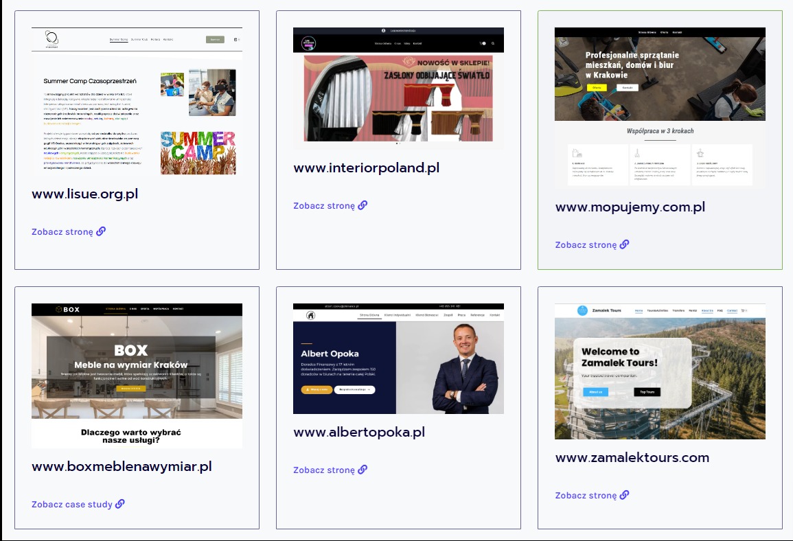 Zestawienie sześciu miniatur stron internetowych: strona obozu letniego, sklep z zasłonami, firma sprzątająca, meble na wymiar, doradca finansowy i biuro podróży.