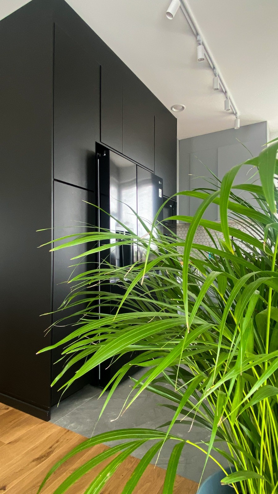 Nowoczesna łazienka z czarnymi szafkami w zabudowie, widok przez liście zielonej rośliny doniczkowej, oświetlenie szynowe na suficie.