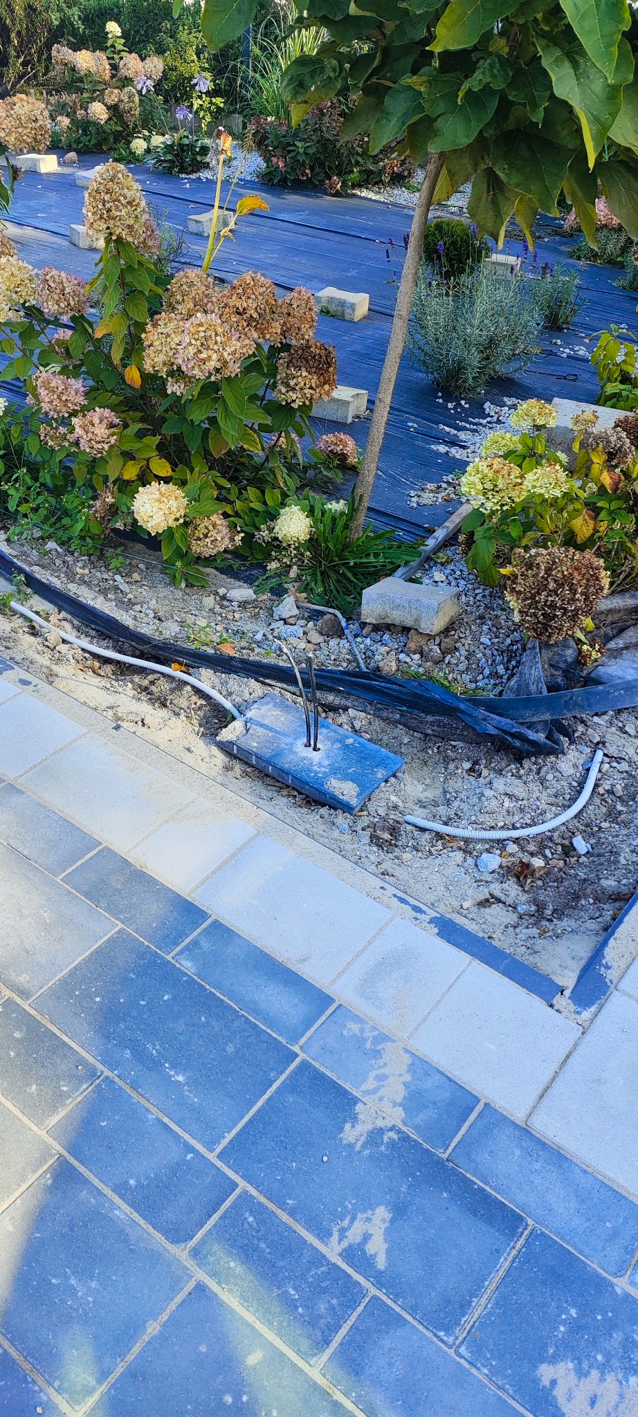 Przygotowanie do podłączenia kabli elektrycznych w ogrodzie w Bierutowie, widoczne wystające przewody z betonowej płyty, obok ułożona kostka brukowa i roślinność ogrodowa na czarnej macie.