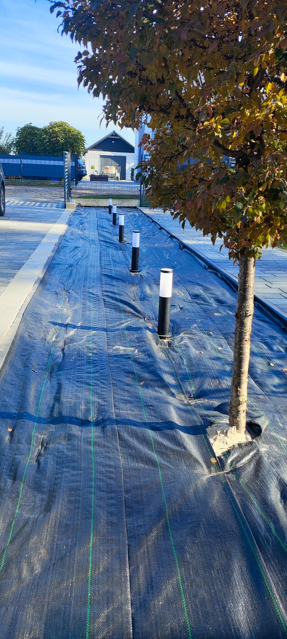 Przygotowanie rabaty: czarna agrowłóknina z zielonymi paskami rozłożona wzdłuż ścieżki, w tle widoczne lampy ogrodowe i drzewo z jesiennymi liśćmi.