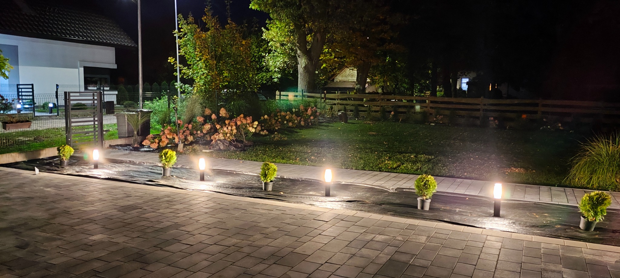 Nocny widok na ogród z oświetleniem ścieżki, małe tuje w donicach i czarna folia rozłożona na trawniku, w tle dom i drewniane ogrodzenie.