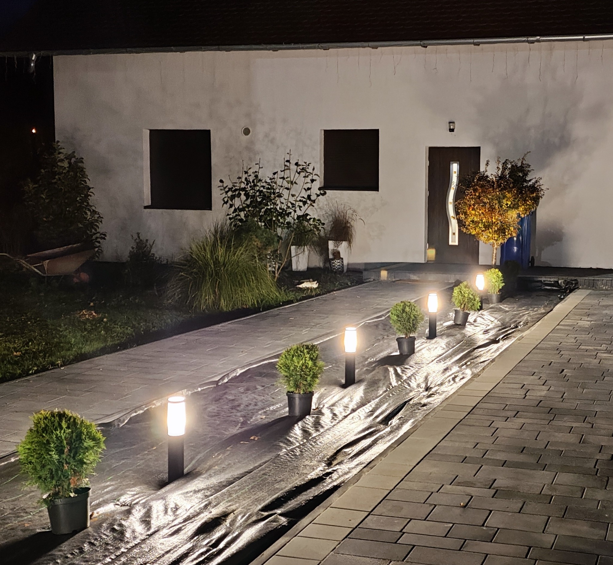 Oświetlona ścieżka z kostki brukowej prowadząca do domu, z lampkami i młodymi drzewkami w donicach, zabezpieczona czarną folią przed nasadzeniami.