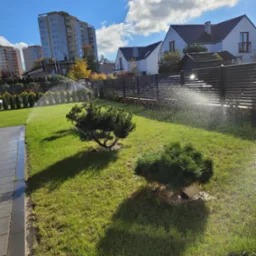 Automatyczne nawadnianie trawnika z niskimi iglakami w przydomowym ogrodzie, w tle budynki mieszkalne i ogrodzenie.