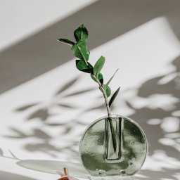 Jola Igielska - Minimalistyczne zdjęcie: zielona roślina Zamioculcas w okrągłym, szklanym wazonie na białym tle z cieniem liści i bursztynowym zakraplaczem obok.