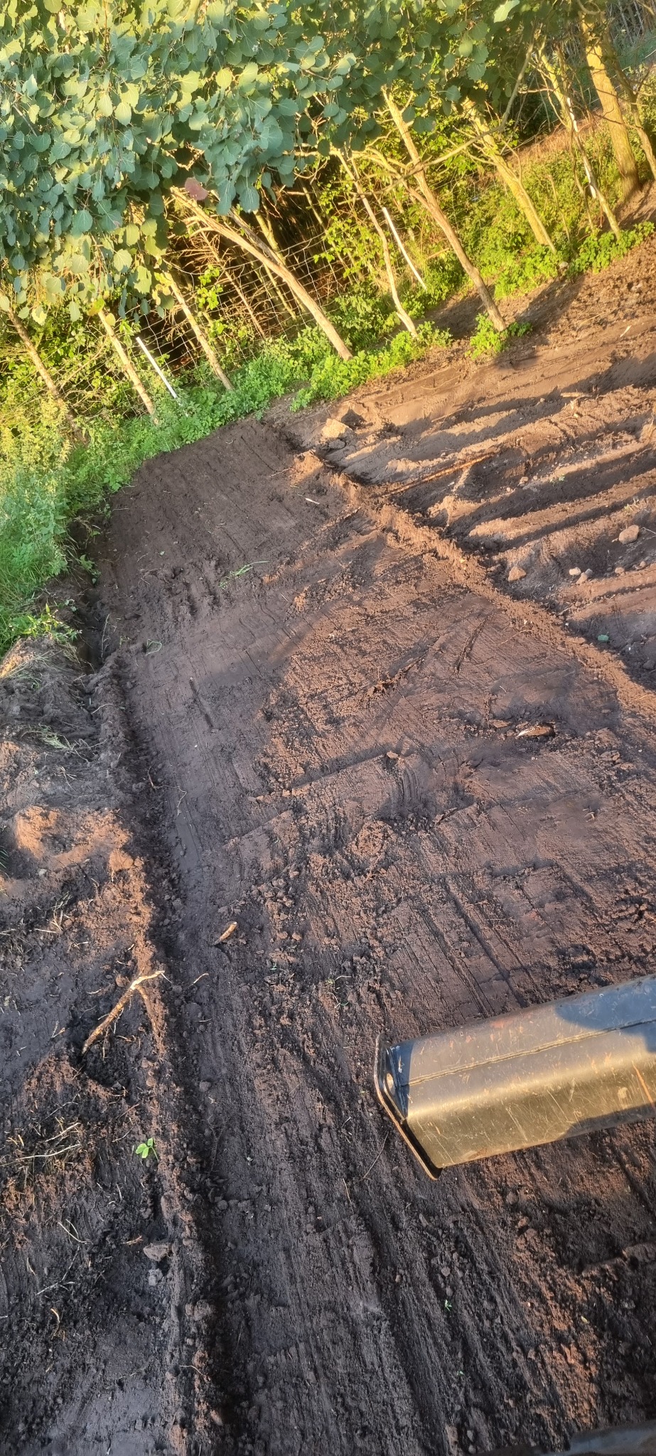 Przygotowany teren pod budowę w Świeszynie, wyrównana ziemia z widocznymi śladami po maszynach, w tle siatka ogrodzeniowa i zieleń.