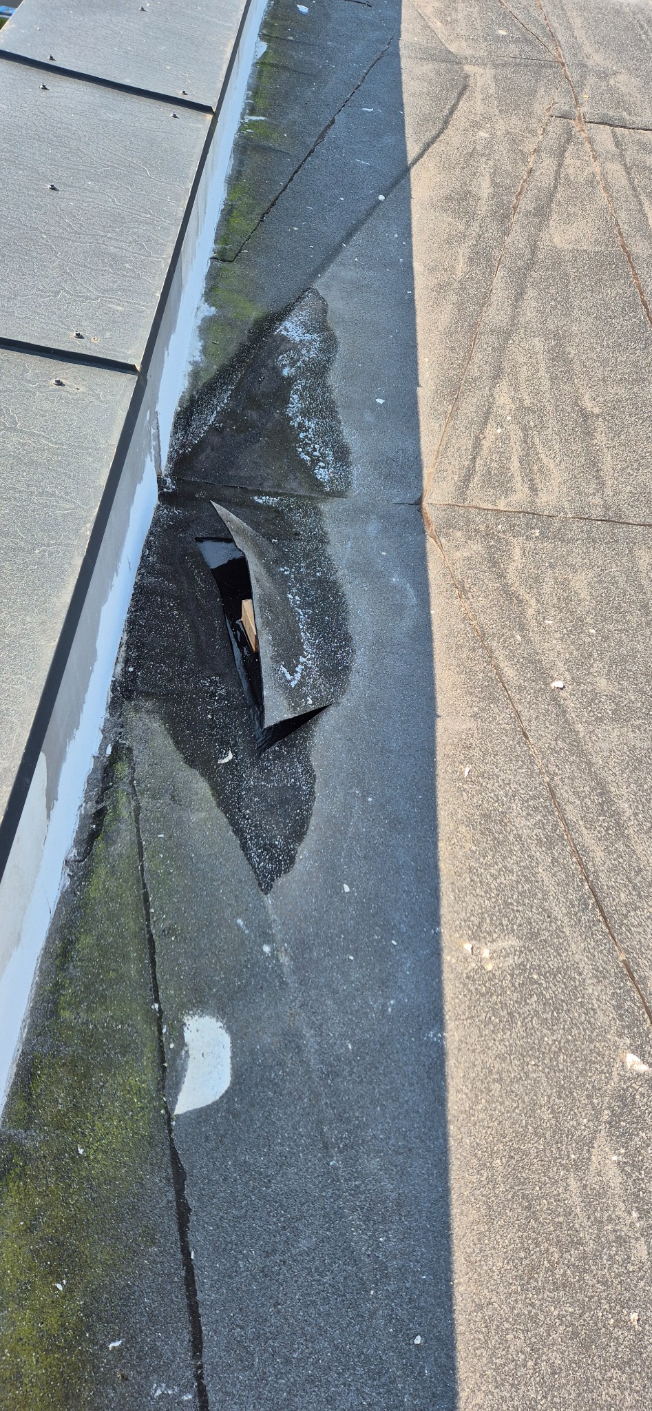 Uszkodzona papa na płaskim dachu z widocznym ubytkiem i fragmentem drewnianej konstrukcji; obok fragment dachu pokryty papą w lepszym stanie, widoczne ślady mchu i białe plamy.