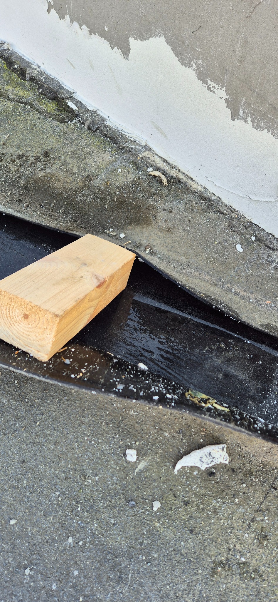 Fragment dachu z czarną rynną, w której leży kawałek drewna, obok widoczne resztki zaprawy murarskiej.