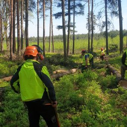 Uslugi Lesne Krystian Biernat - Usuwanie Drzew Kamesznica