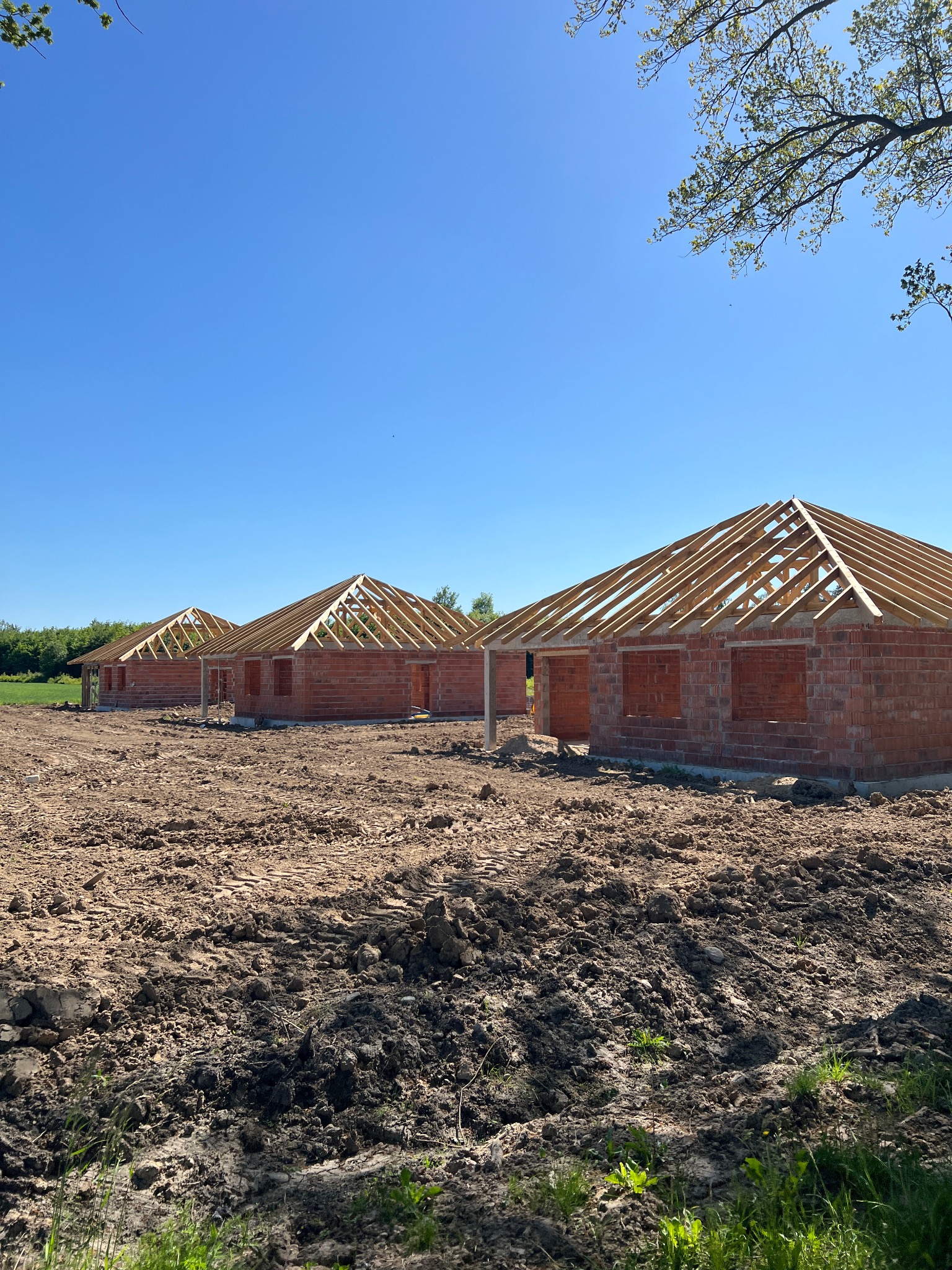 Wczesny etap budowy trzech domów jednorodzinnych z czerwonej cegły, widoczne drewniane konstrukcje dachowe bez pokrycia, rozkopana ziemia wokół budynków, błękitne niebo.