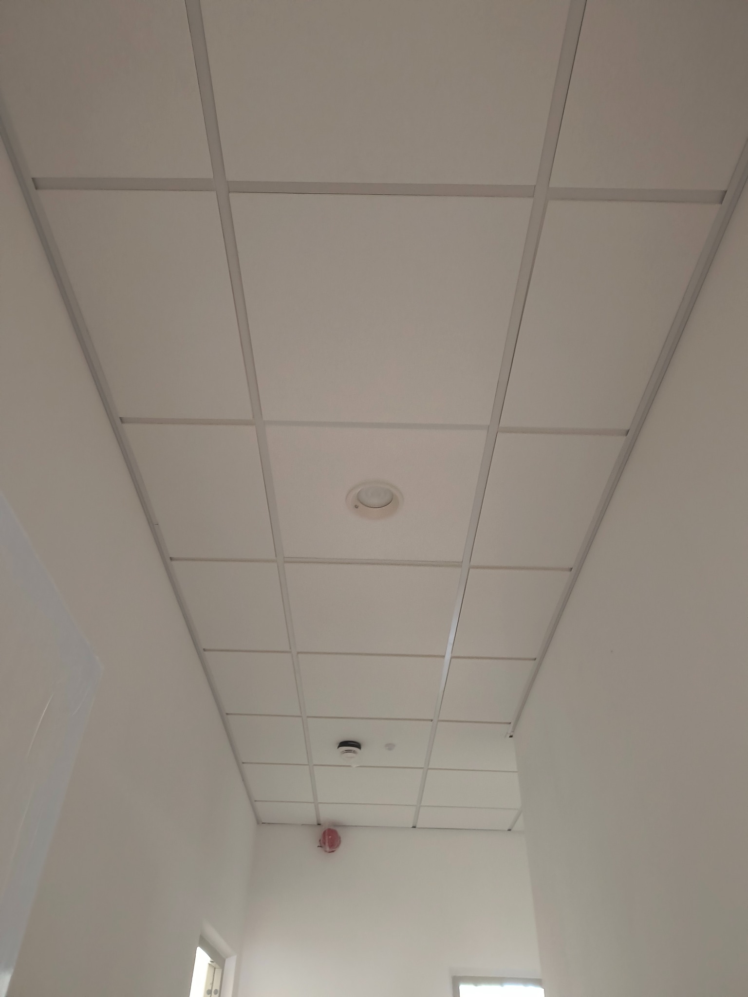 Kasetonowy sufit podwieszany z widocznymi lampami i czujnikiem dymu w jasnym pomieszczeniu biurowym.