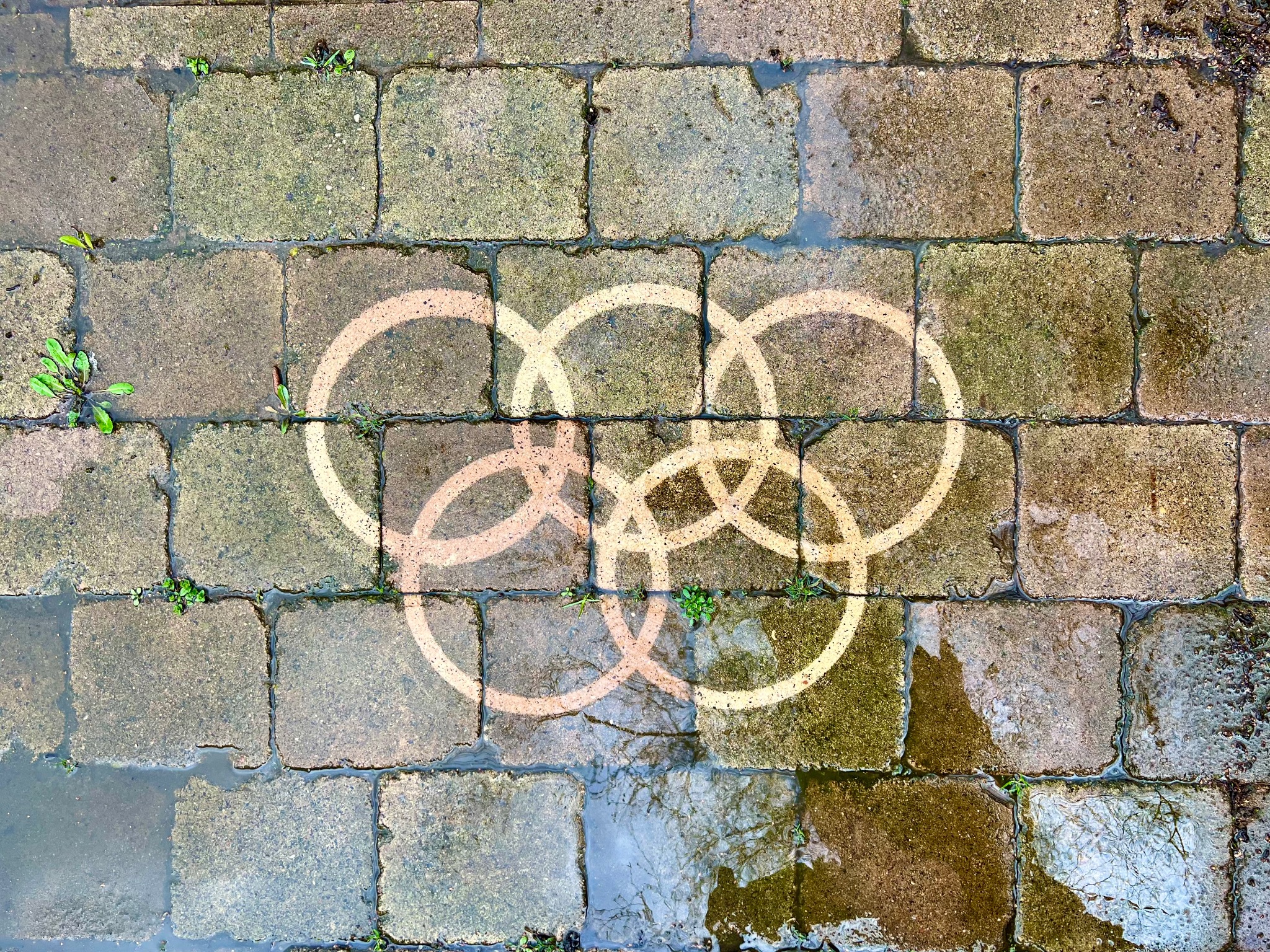Ślady po czyszczeniu kostki brukowej w kształcie pięciu kół olimpijskich, widoczne na mokrej powierzchni z porostami i chwastami w spoinach.