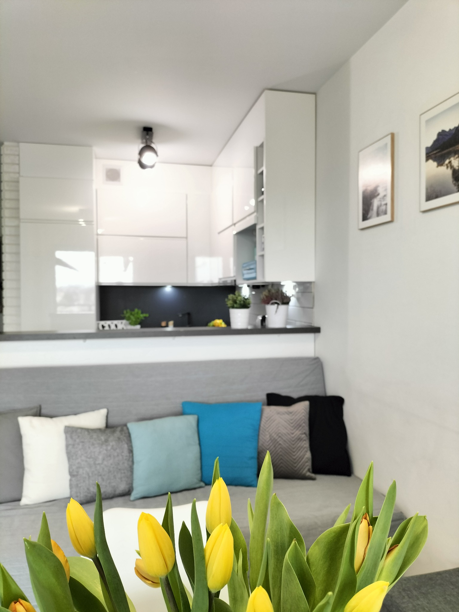 Jasne wnętrze mieszkania z aneksem kuchennym, sofa z poduszkami w odcieniach szarości i błękitu, na pierwszym planie bukiet żółtych tulipanów.