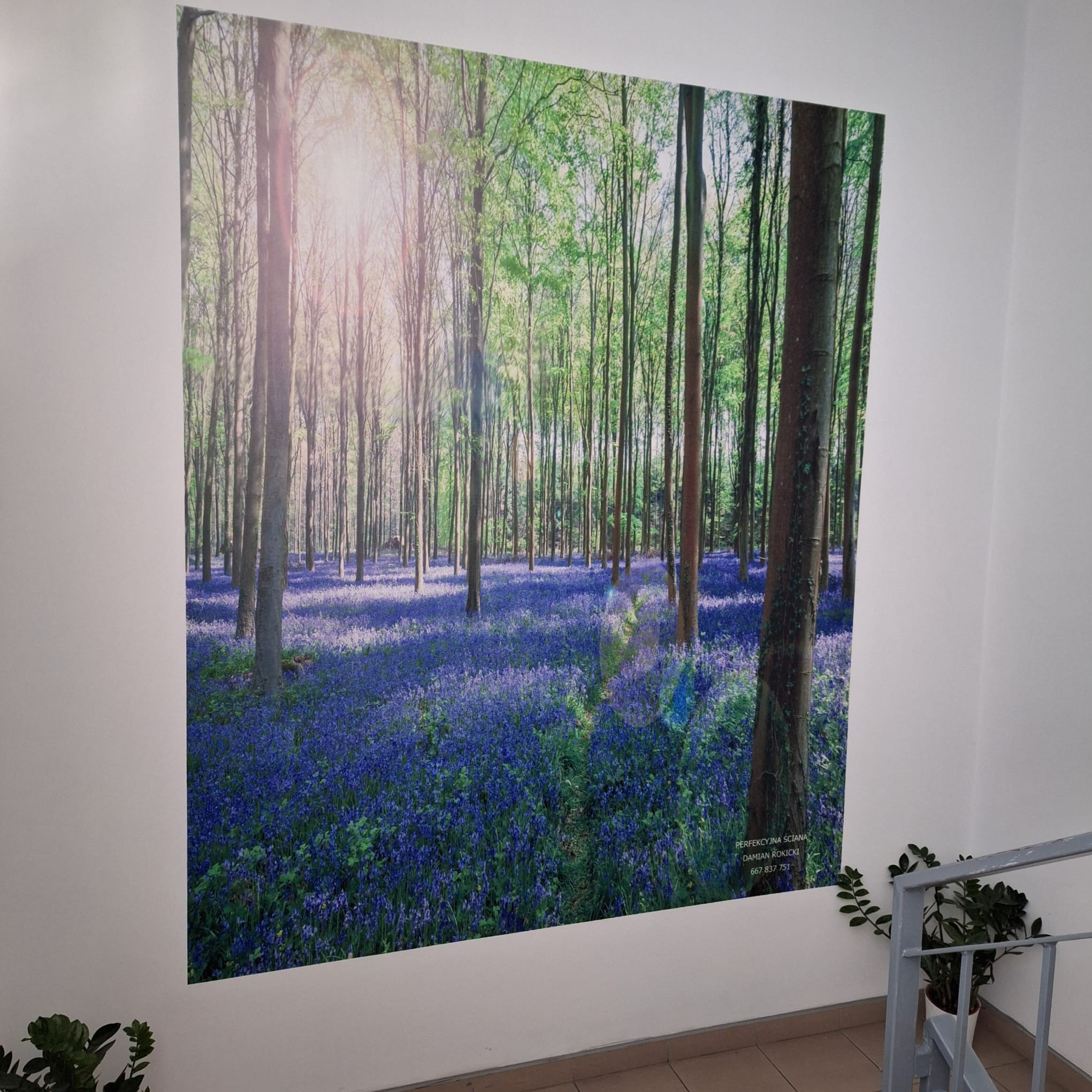 Druk na ścianie w poradni dziecięcej.