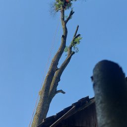 Ptecyzyjne i bezpieczne zrzucenie cieżkiej korony na dużej  wysokosci nad dachem budynku
