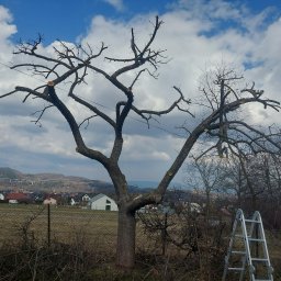 Beautiful Greenery - Prace działkowe Bielsko-Biała
