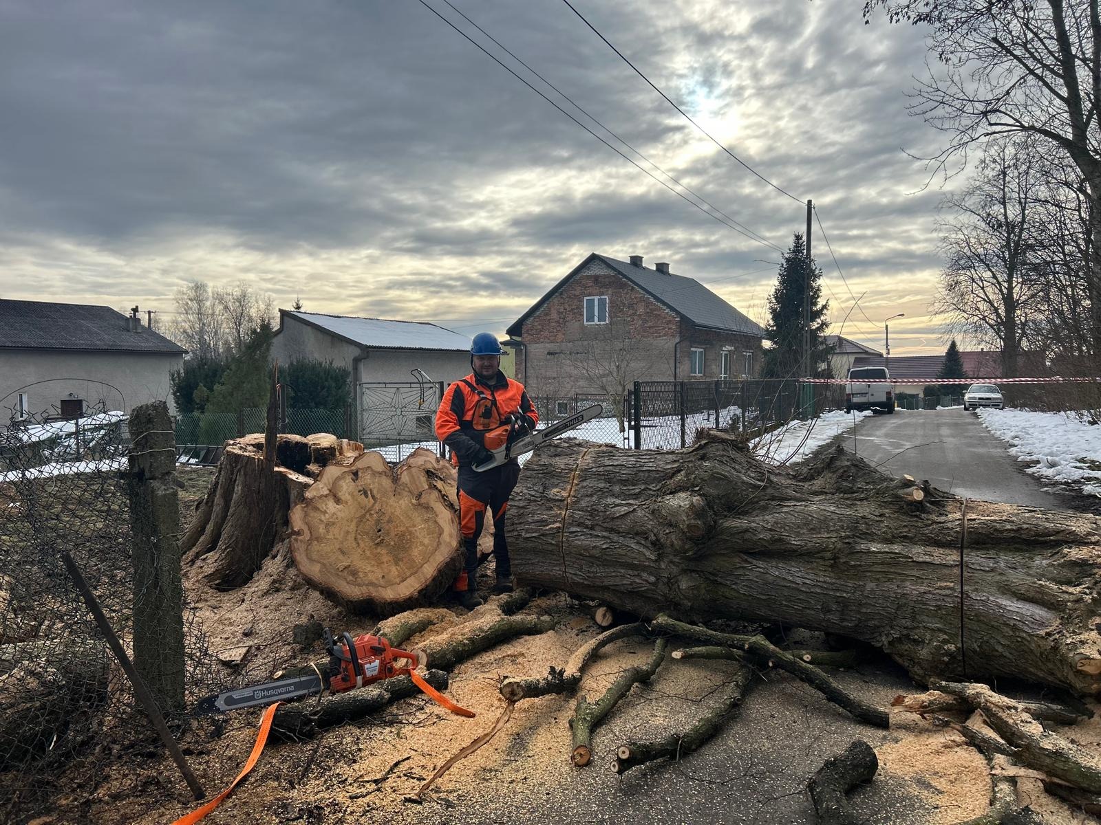 Robotnik w kasku i stroju ochronnym z piłą spalinową stoi obok pnia i powalonego drzewa na tle zabudowań wiejskich i pochmurnego nieba. Wycinka drzew.