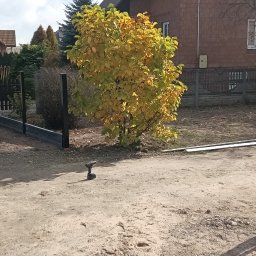 MR KOP - Montaż ogrodzenia panelowego z podmurówką. Widoczny fragment ogrodzenia, brama, narzędzia i pracownik przygotowujący teren. Jesienne otoczenie z drzewami i domami w tle.