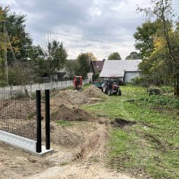 Wycinka drzew Płusy 3