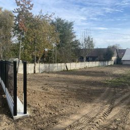 Wycinka drzew Płusy 4