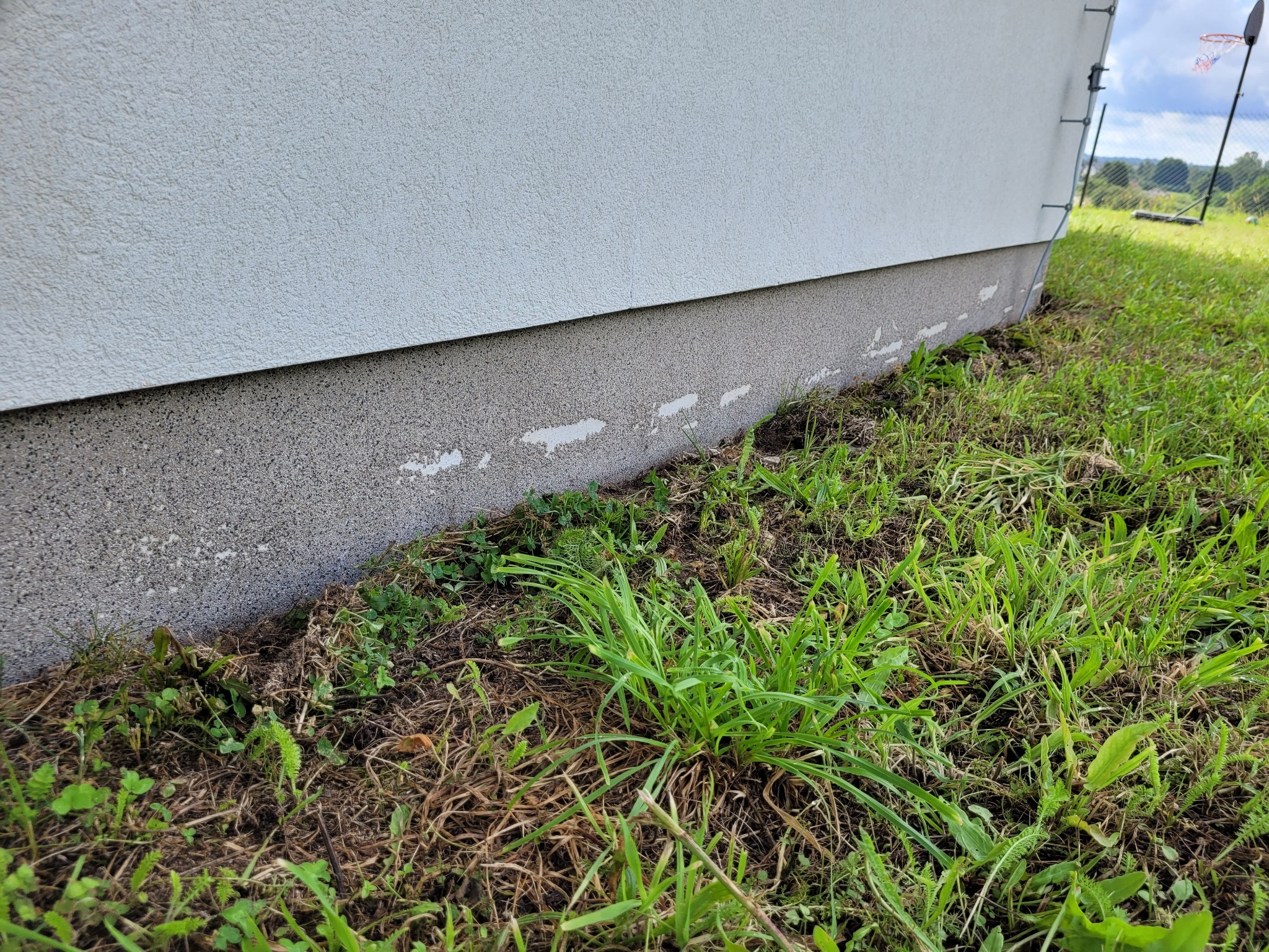 Fragment ściany budynku z widocznymi uszkodzeniami cokołu, odpryskami farby i zabrudzeniami w dolnej części, zarośnięty trawą.