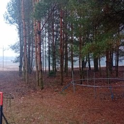 Wycinka drzew Augustów 3