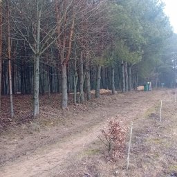 Radosław Kudrawiec - Ścieżka wzdłuż lasu po wycince drzew, widoczne zrębki, drzewa iglaste i liściaste, w tle samochód z przyczepką.