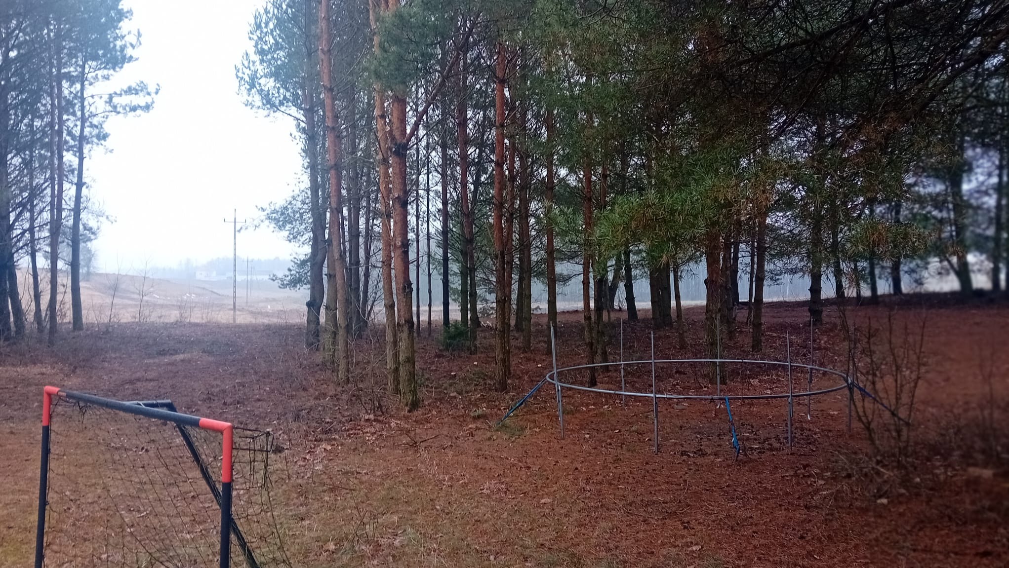 Leśny krajobraz z młodymi drzewami, fragmentem bramki piłkarskiej z czerwonymi elementami i metalową konstrukcją w kształcie okręgu na ziemi pokrytej igliwiem, w tle pole i słup energetyczny.