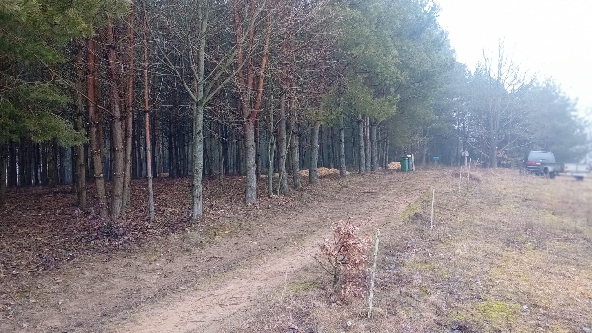 Ścieżka wzdłuż lasu po wycince drzew, widoczne zrębki, drzewa iglaste i liściaste, w tle samochód z przyczepką.