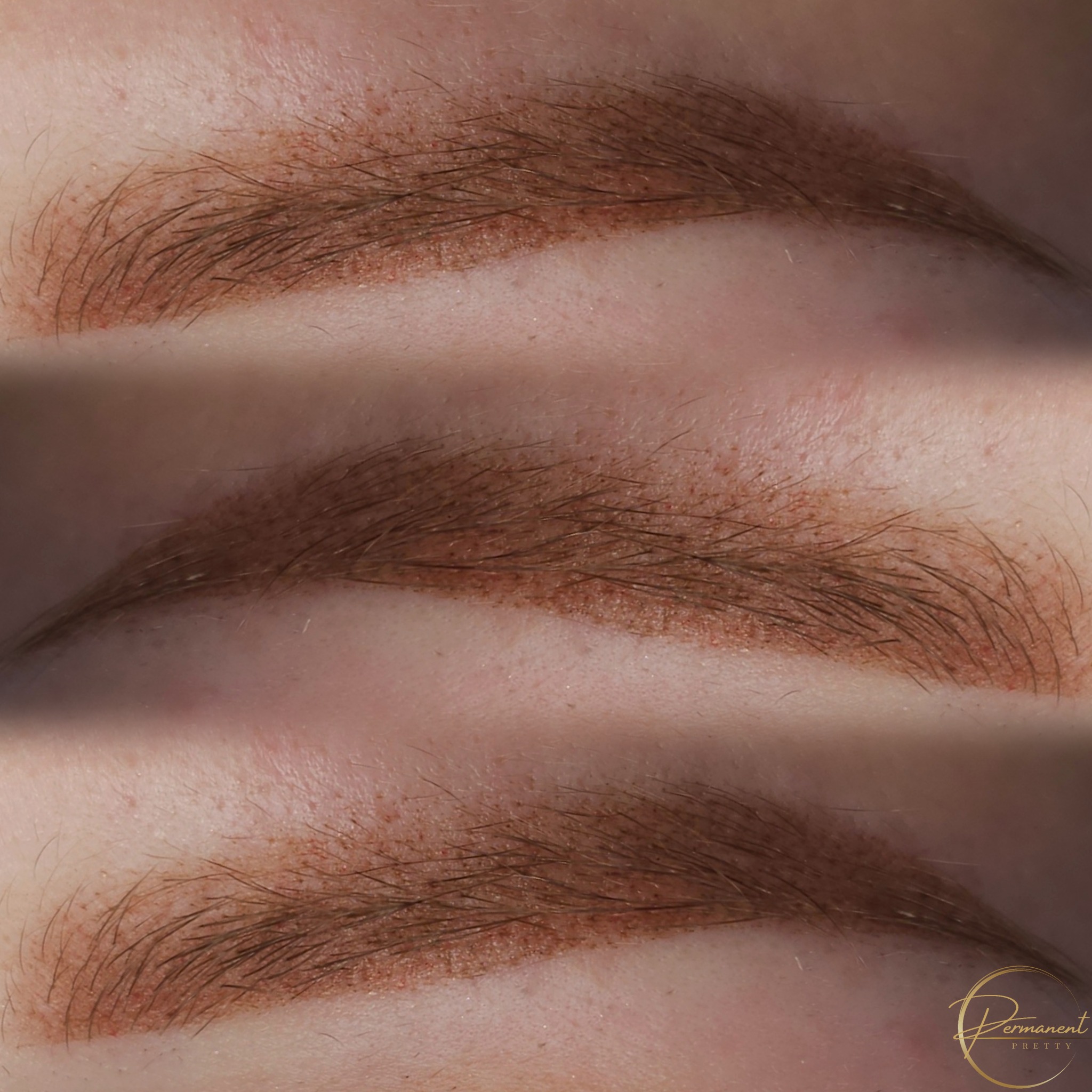 Zbliżenie na brwi po zabiegu makijażu permanentnego, widoczne drobne włoski i pigment w odcieniu ciepłego brązu, z delikatnym cieniem, z logo firmy w prawym dolnym rogu.