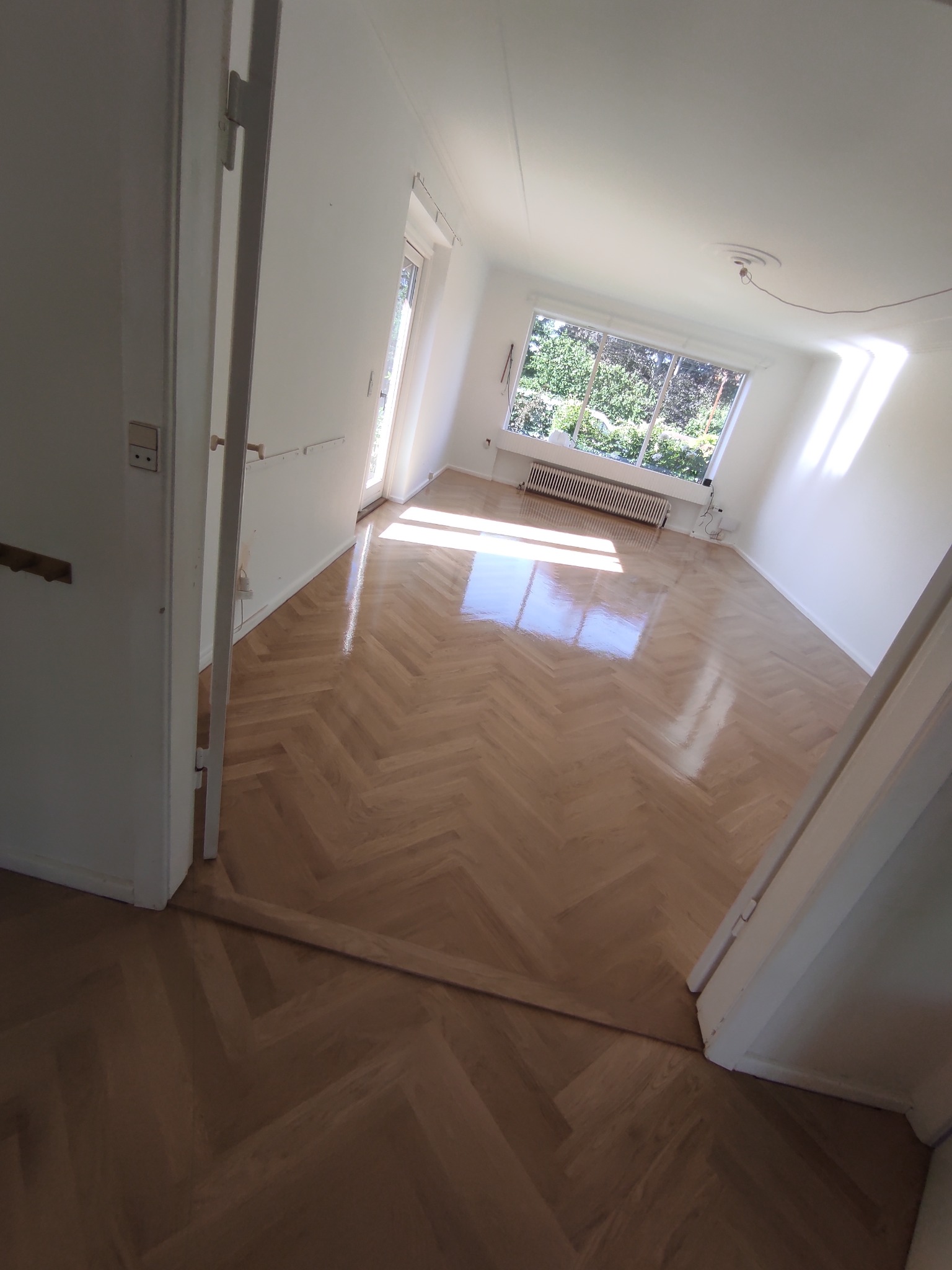 Jasny, nowo położony parkiet w jodełkę w pustym, jasnym pokoju z widokiem na zieleń za oknem, widoczne drzwi z lewej strony.