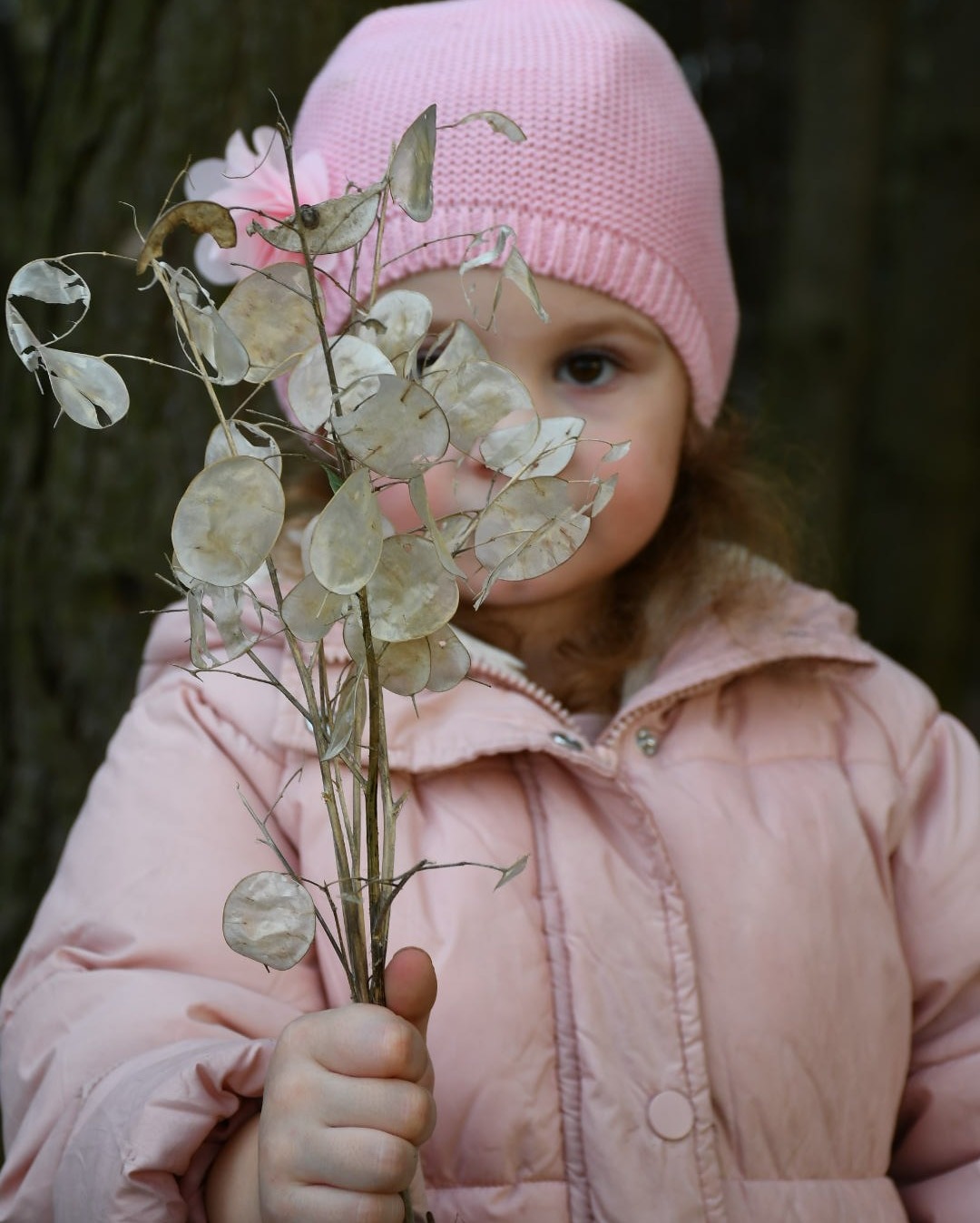 Dziewczynka w różowej kurtce i czapce z kwiatkiem, trzymająca w dłoni gałązkę z suszonymi kwiatami w Dzikowcu.