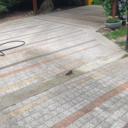 Mycie dachów Łódź 2