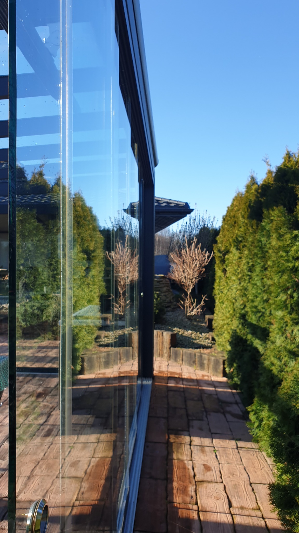 Szklana ściana oranżerii z widocznymi kroplami wody po umyciu, odbijająca zadbany ogród z kostki brukowej i tujami w słoneczny dzień.