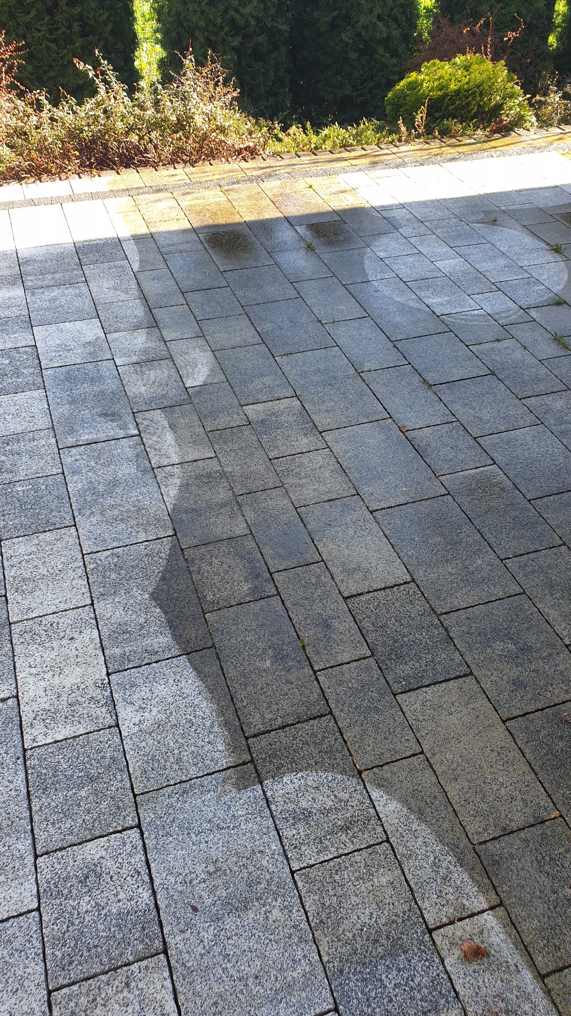 Świeżo umyta, mokra kostka brukowa w odcieniach szarości, z widocznymi śladami wody i odbiciami światła słonecznego, obok zadbany żywopłot.