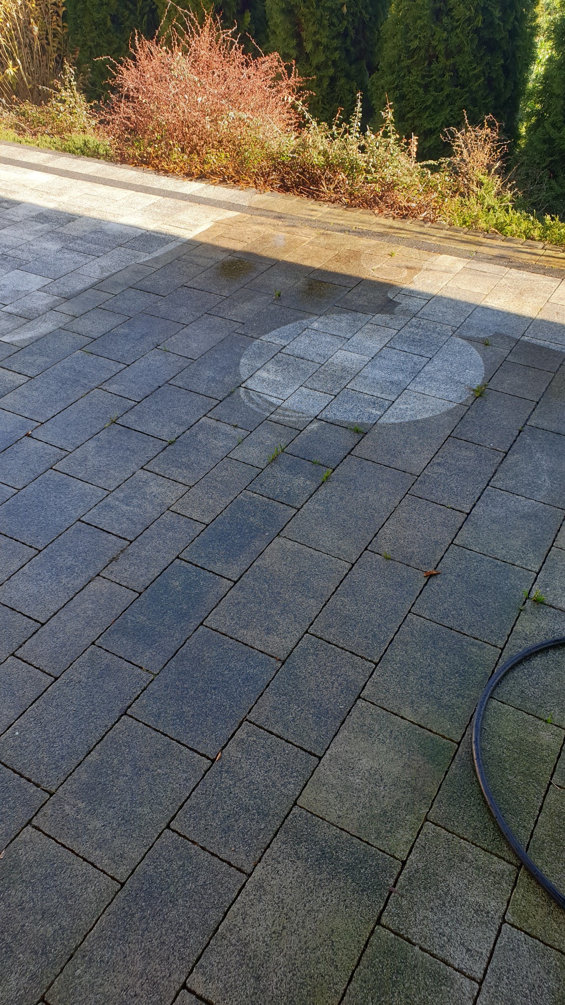 Czyszczona kostka brukowa z wyraźnym okrągłym śladem po myciu ciśnieniowym, widoczny fragment węża ogrodowego w prawym dolnym rogu.