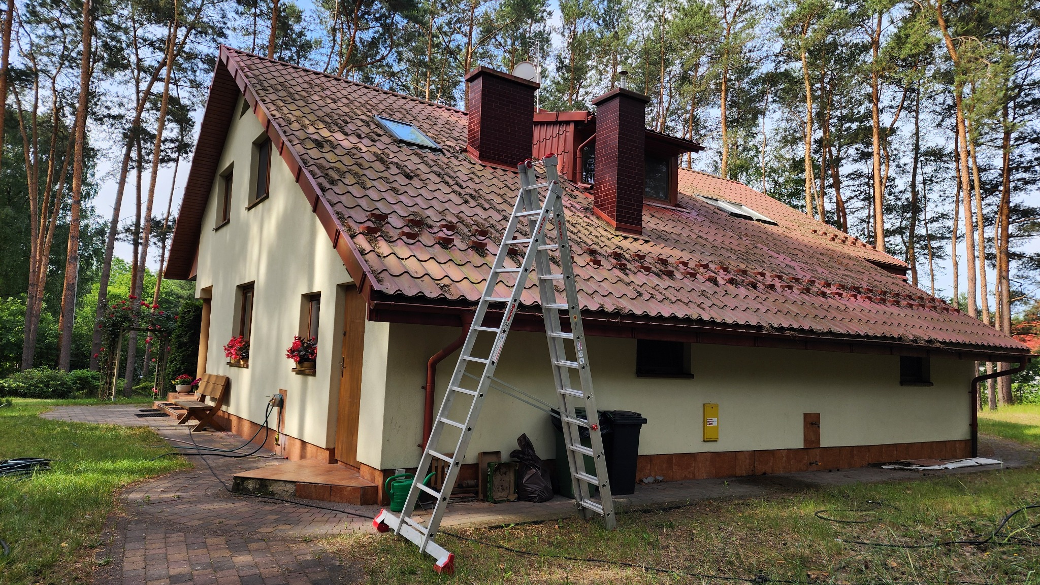 Dwuspadowy dom z czerwoną dachówką przed czyszczeniem, z widoczną drabiną opartą o dach. Tło stanowią wysokie drzewa iglaste i trawnik.