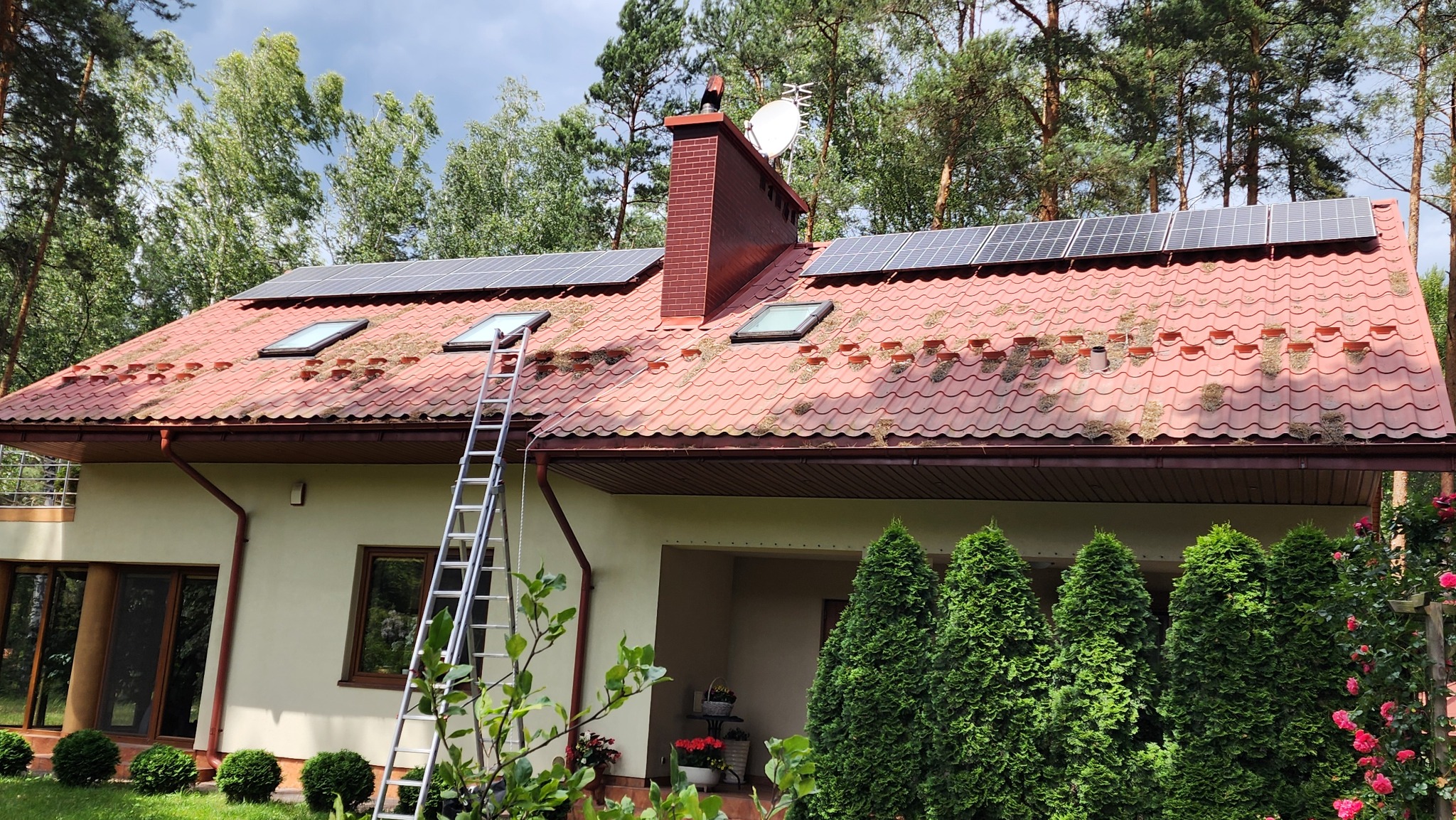 Czerwony dach z panelami słonecznymi i mchem, widoczne okna dachowe i komin. Aluminiowa drabina oparta o budynek. Tło: drzewa.