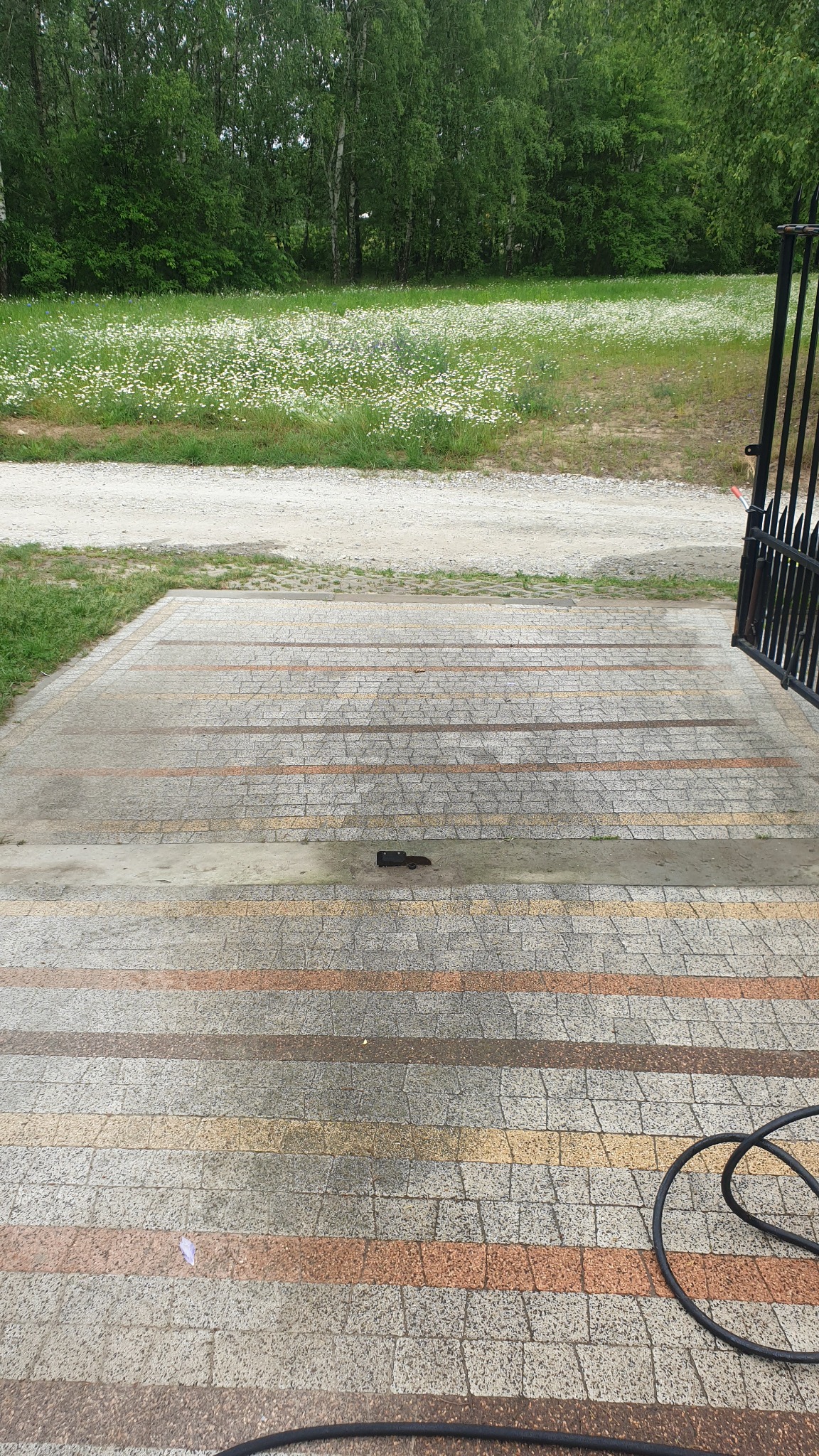 Umyta, mokra kostka brukowa w paski, z widocznym wężem do mycia, prowadząca do zielonego trawnika z polnymi kwiatami i drzewami w tle. Częściowo widoczne ogrodzenie.