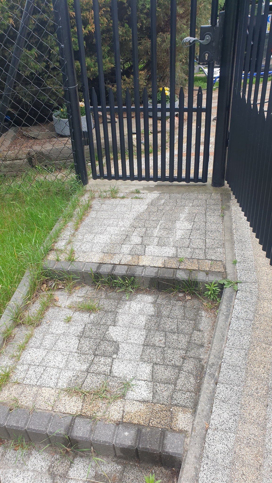 Zaniedbana kostka brukowa przed wejściem, zarośnięta trawą i mchem, widoczna przez otwartą, czarną bramę z metalowych prętów. Brudna powierzchnia kostki.