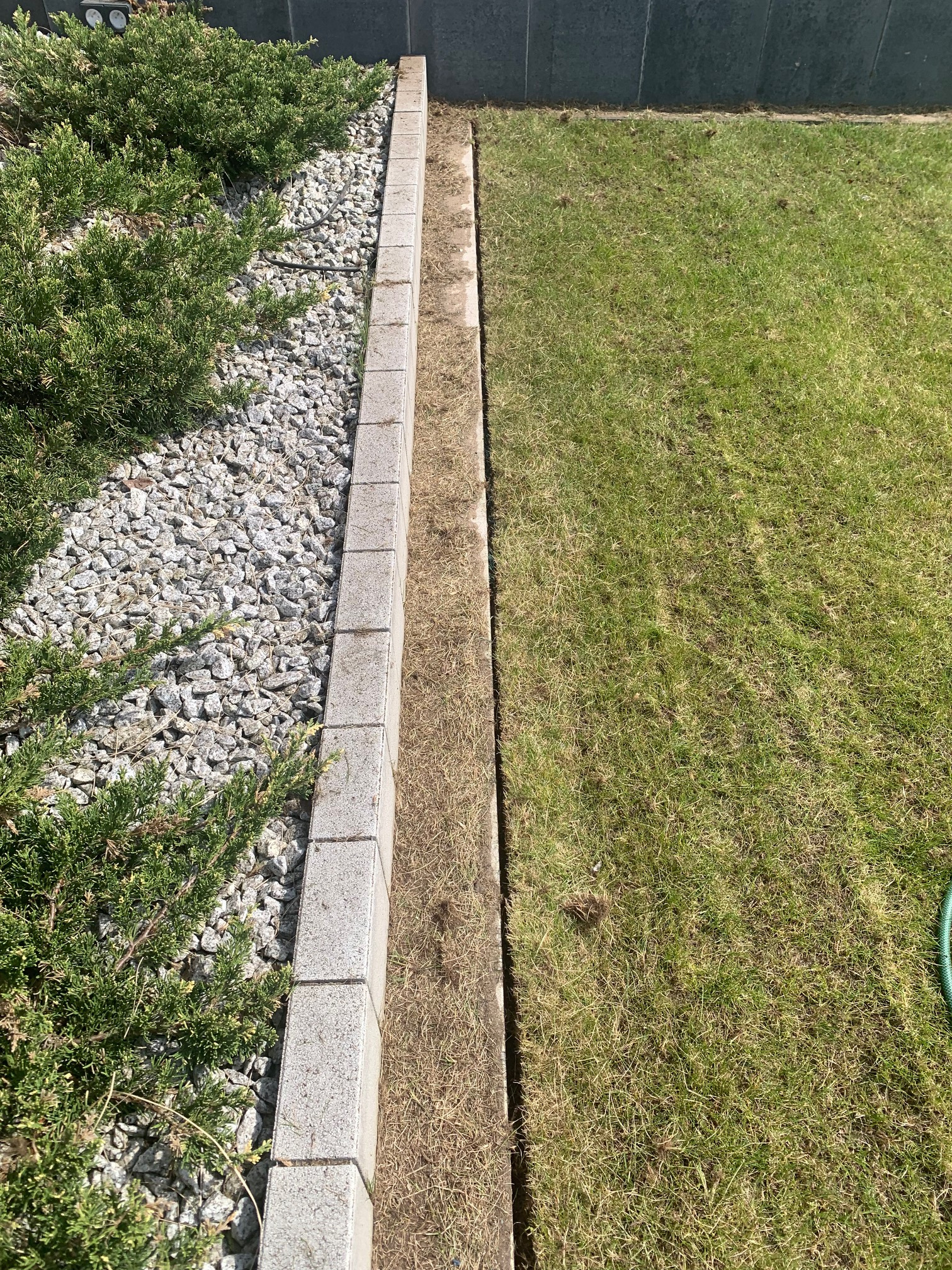 Granica trawnika oddzielona betonową obwódką, z jednej strony zielony trawnik, z drugiej kamień ozdobny i krzewy iglaste.