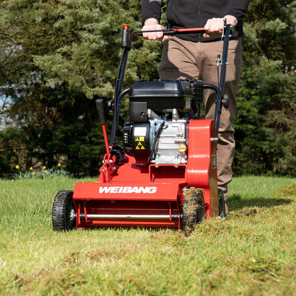 Czerwony wertykulator spalinowy marki Weibang w trakcie pracy na trawniku, widoczne ślady po nacięciach darni i częściowo zebrana trawa.