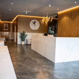 DentistiQ - Jasna recepcja z marmurowym blatem, drewnianymi panelami ściennymi z oświetleniem LED, nowoczesną lampą i rośliną doniczkową w eleganckim wnętrzu.