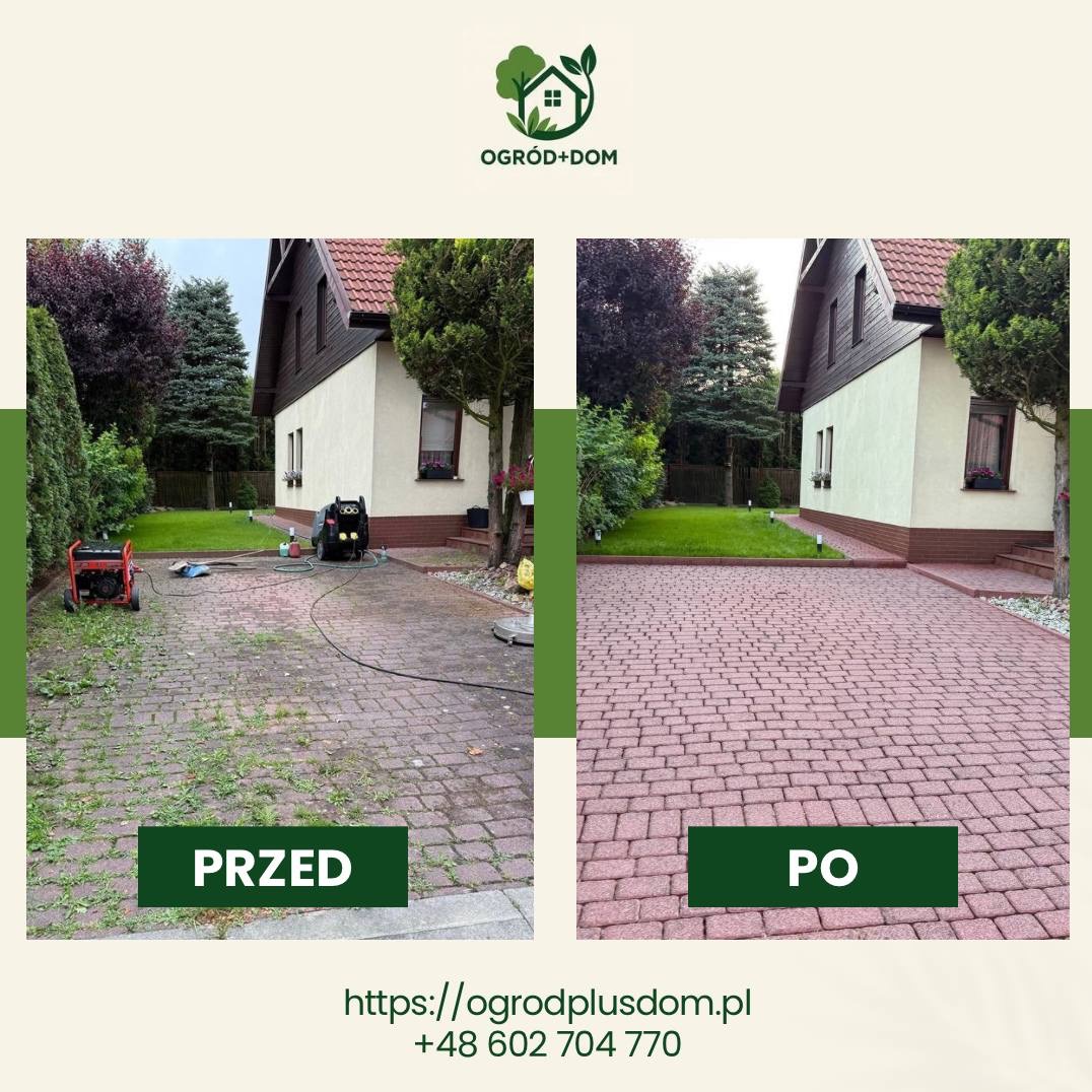 Efekt 'przed i po' mycia kostki brukowej na podjeździe. Po lewej kostka brudna, zarośnięta, po prawej czysta, umyta. Widoczny budynek mieszkalny i trawnik.