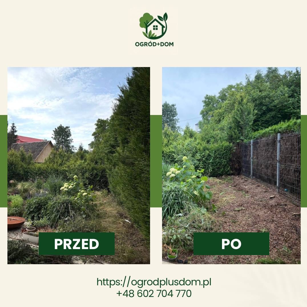 Pielęgnacja ogrodu w Michałowicach: porównanie 'przed' i 'po' - uporządkowana przestrzeń, usunięte chwasty, przygotowane podłoże, schludny wygląd.